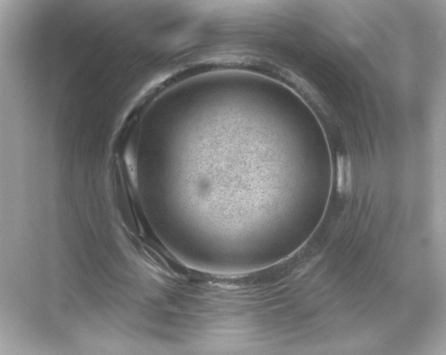 X0000071800723200607072051