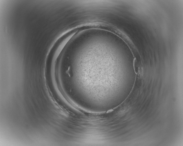 X0000071800724200607072051