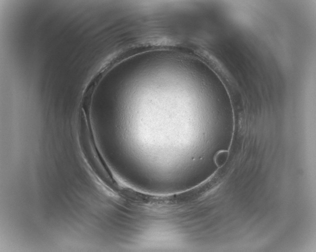 X0000071800725200607072051