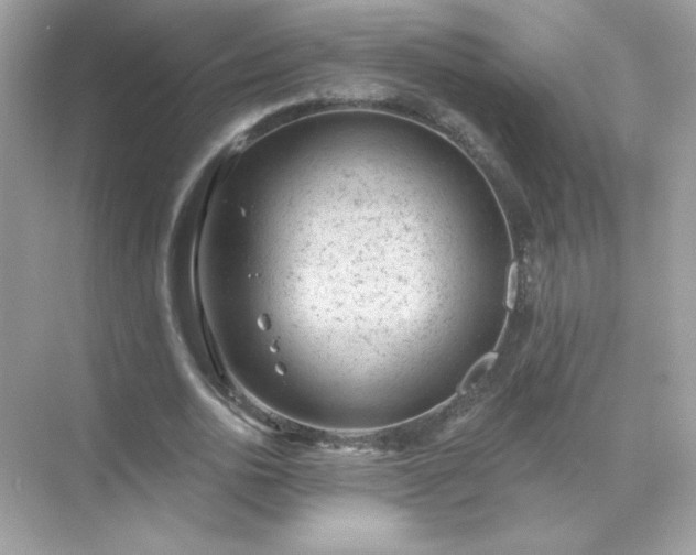 X0000071800726200607072051