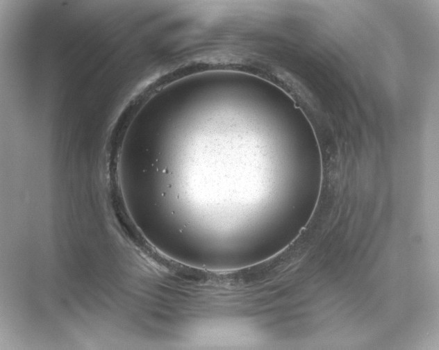 X0000071800727200607072051