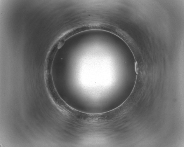 X0000071800728200607072051