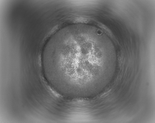 X0000071800729200607072051