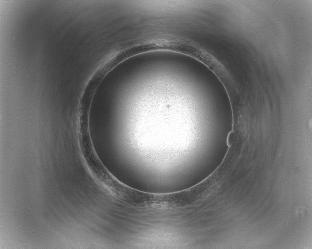 X0000071800730200607072051