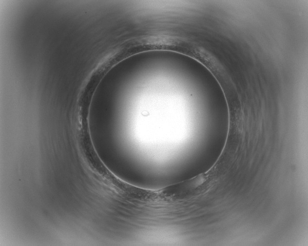 X0000071800731200607072051