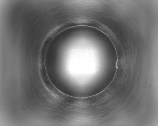 X0000071800732200607072051