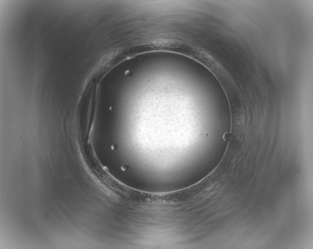 X0000071800734200607072051