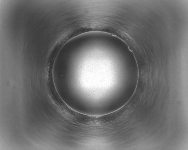 X0000071800735200607072051