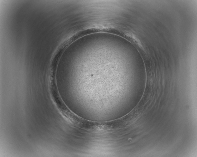 X0000071800736200607072051