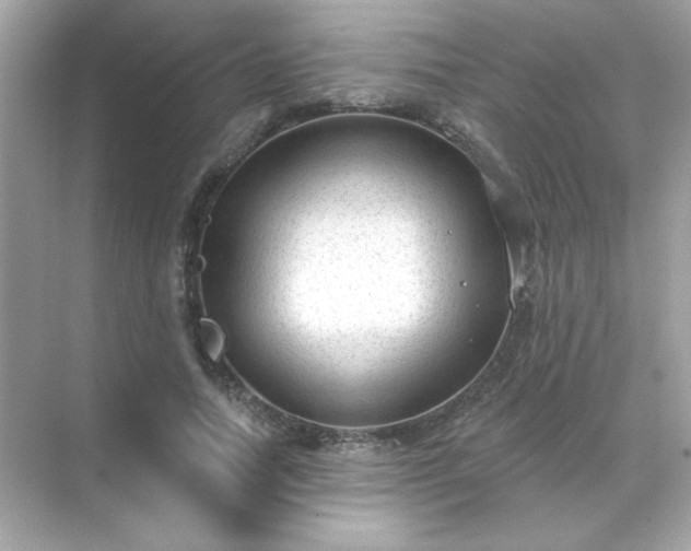 X0000071800738200607072051