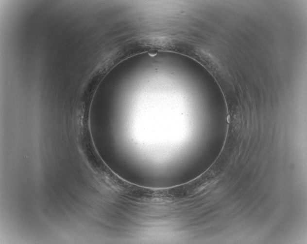 X0000071800739200607072051