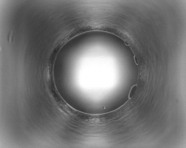 X0000071800740200607072051