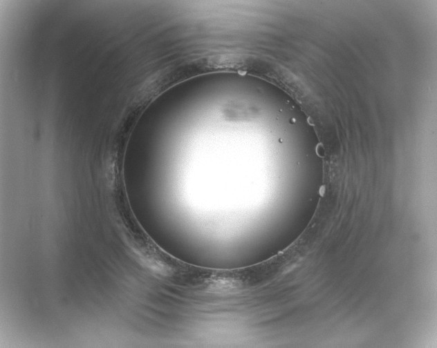 X0000071800741200607072051