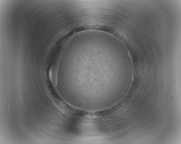 X0000071800742200607072051