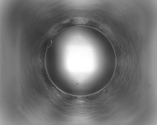 X0000071800743200607072051