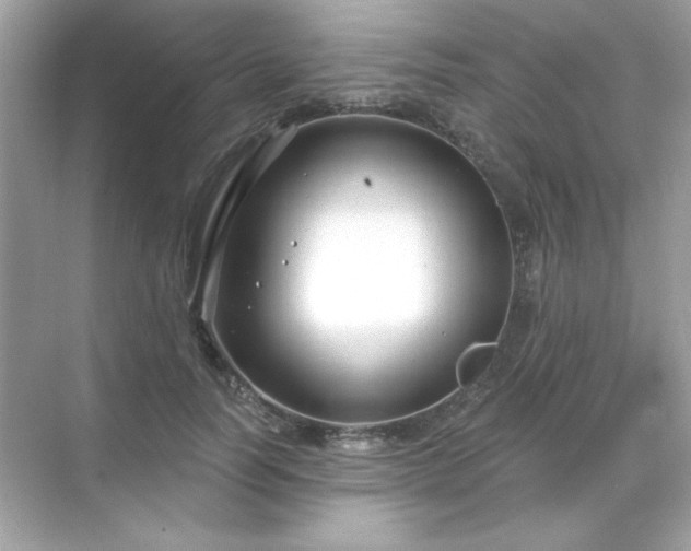 X0000071800746200607072051