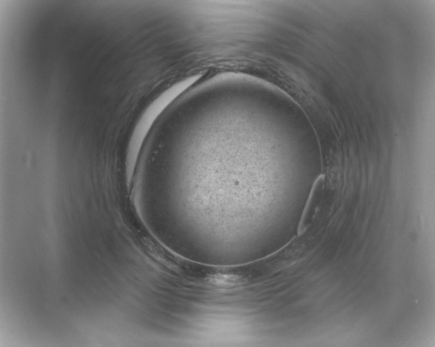 X0000071800748200607072051