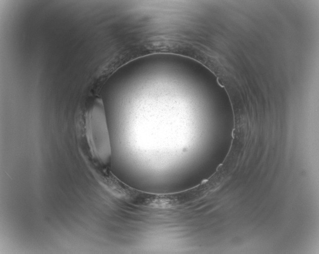 X0000071800751200607072051