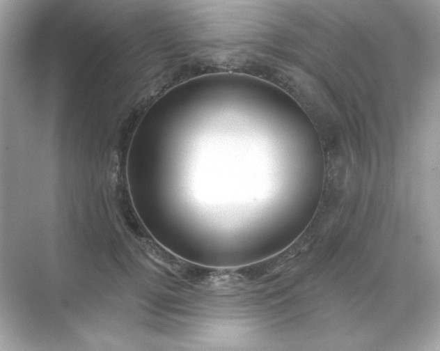 X0000071800752200607072051