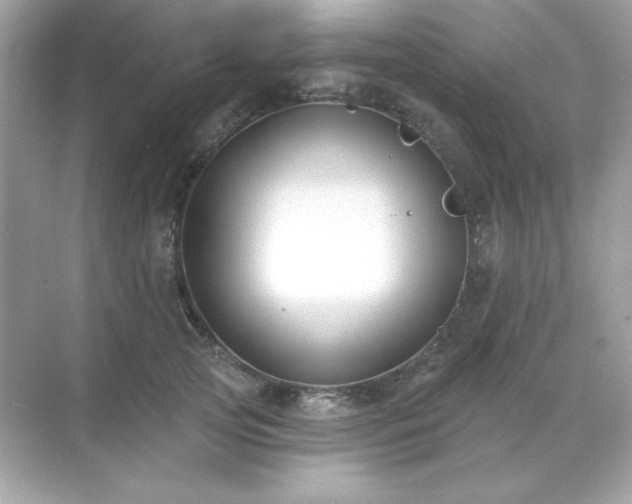 X0000071800753200607072051