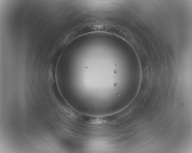 X0000071800754200607072051