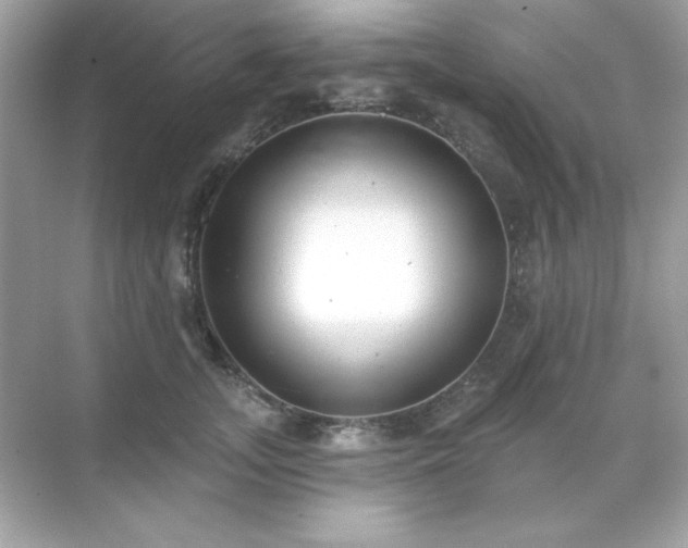 X0000071800755200607072051