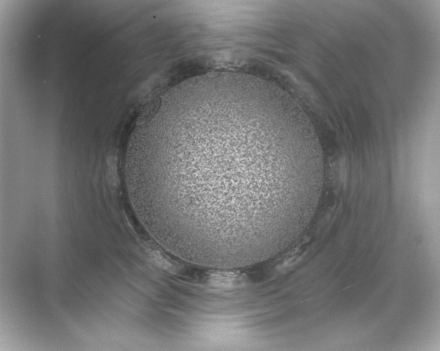 X0000071800757200607072051