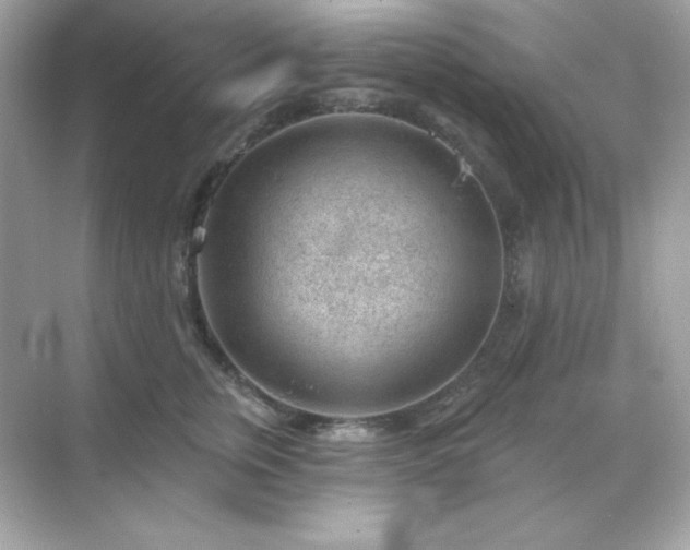 X0000071800759200607072051