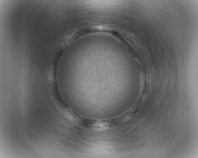 X0000071800760200607072051