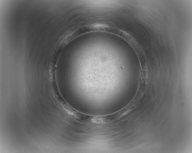 X0000071800762200607072051