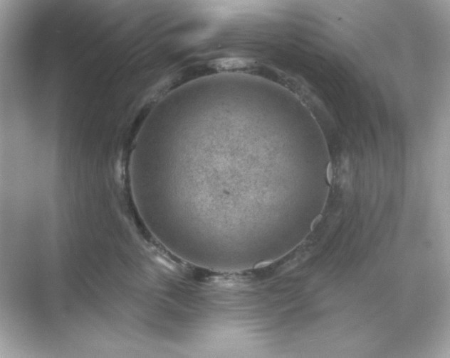 X0000071800763200607072051