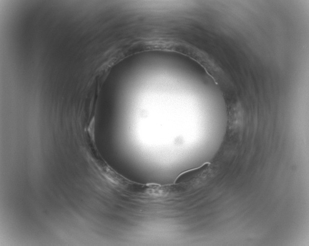 X0000071800764200607072051