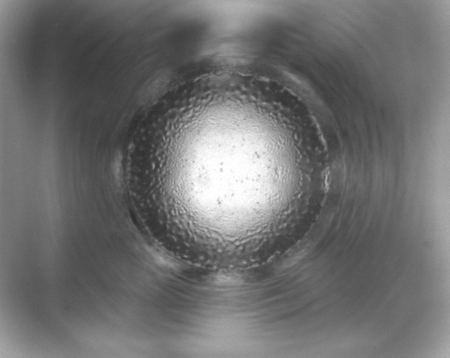 X0000071800765200607072051