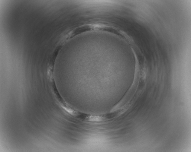 X0000071800766200607072051