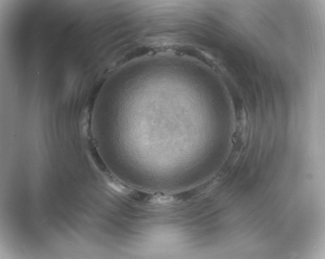 X0000071800767200607072051