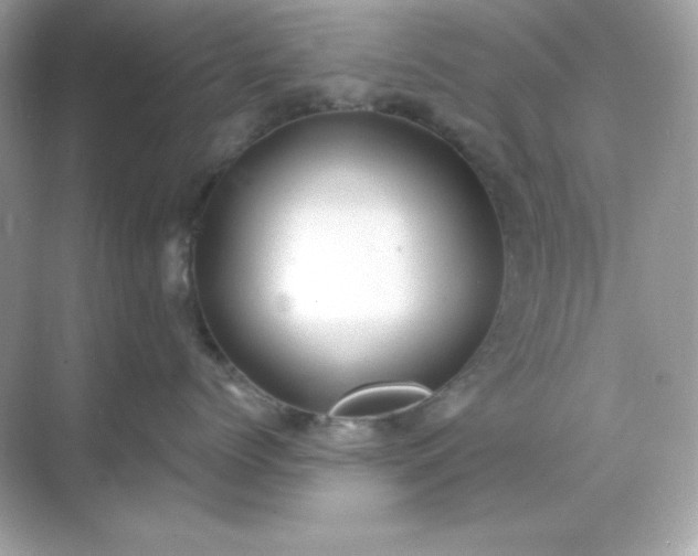 X0000071800768200607072051