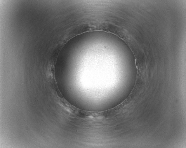 X0000071800770200607072051