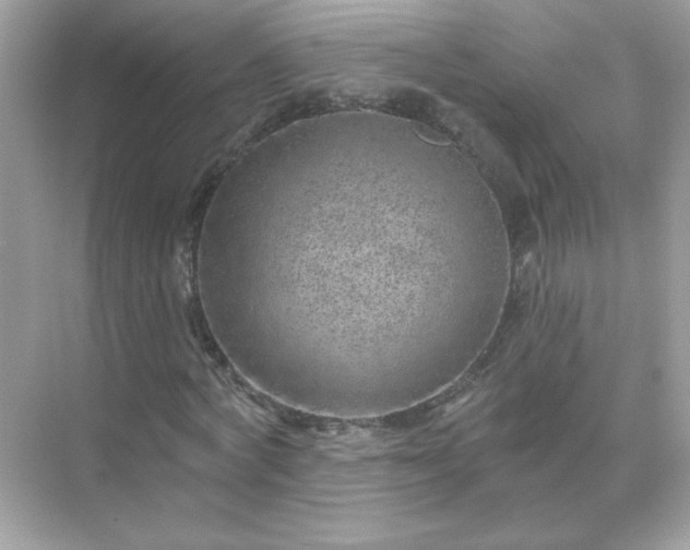 X0000071800772200607072051