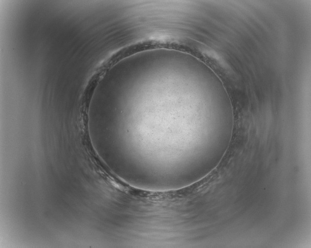 X0000071800776200607072050