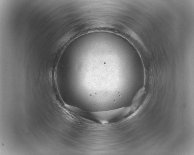 X0000071800777200607072050