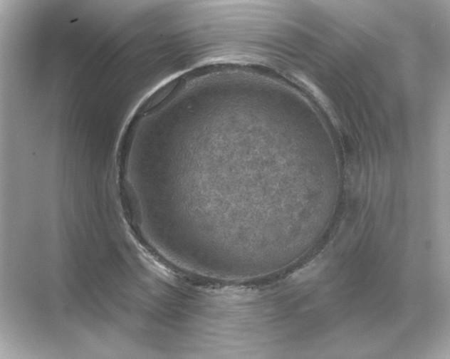 X0000071800779200607072050