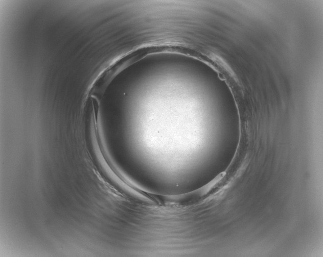 X0000071800781200607072050