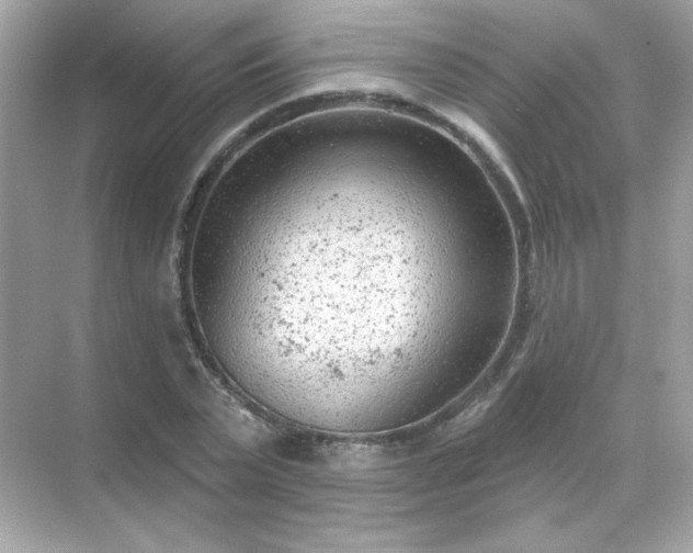 X0000071800783200607072050