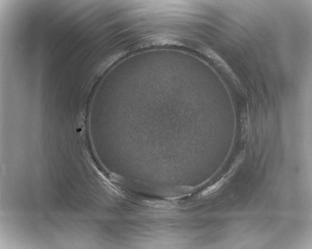 X0000071800785200607072050