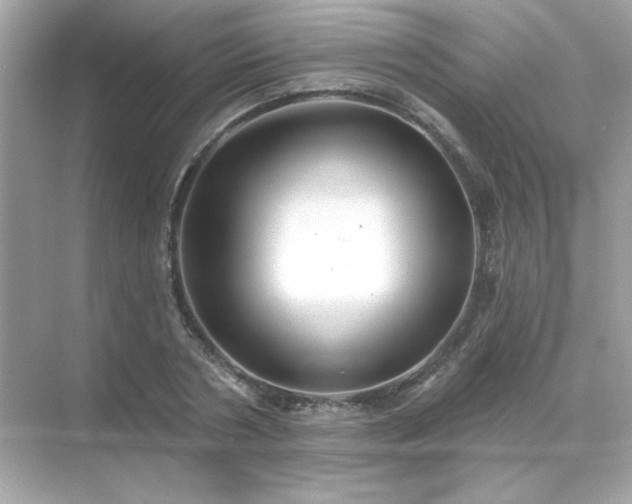 X0000071800786200607072050