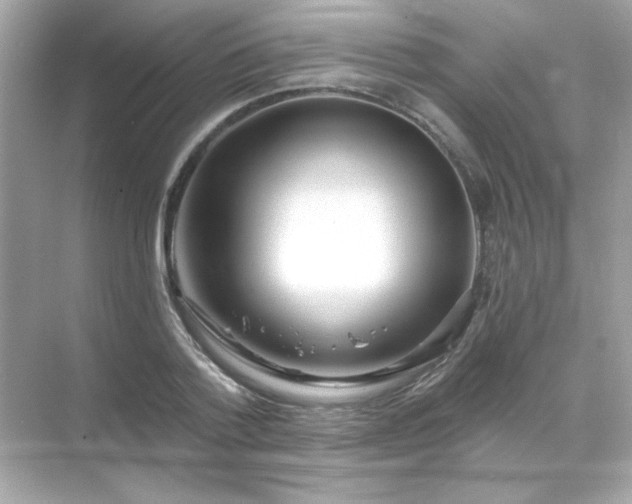 X0000071800788200607072050