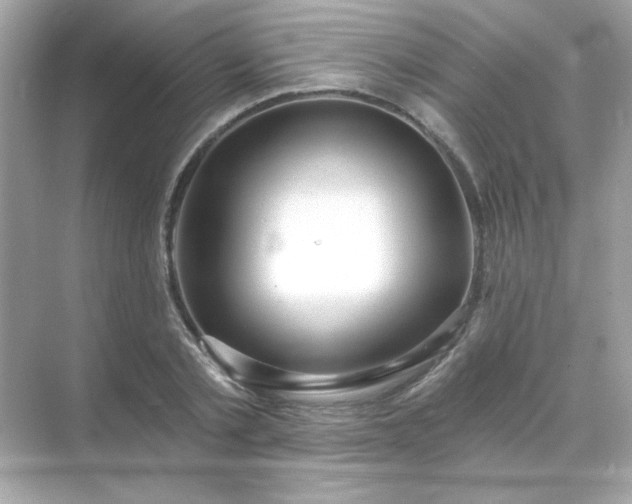 X0000071800789200607072050