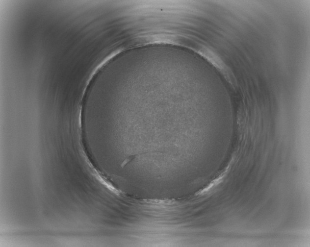 X0000071800790200607072050