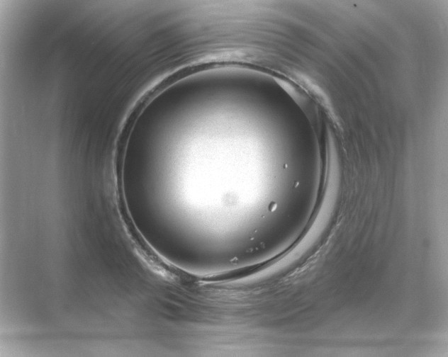 X0000071800792200607072050