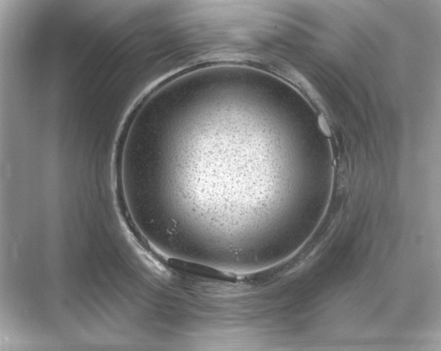 X0000071800795200607072050